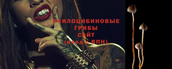 2c-b Протвино