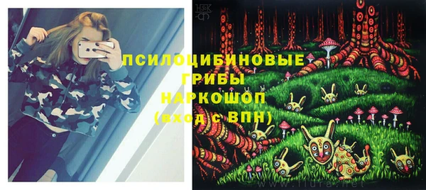 spice Приозерск